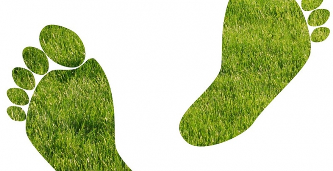 ¿Qué es la huella de carbono?